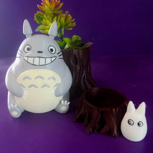 Maceteros Totoro Pack